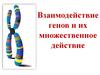 Взаимодействие генов и их множественное действие