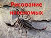 Рисование насекомых