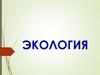 Экология. Структура современной экологии