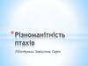 Різноманітність птахів