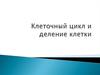 Клеточный цикл и деление клетки