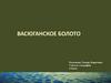 Васюганское болото