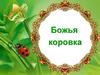 Божья коровка
