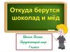 Откуда берутся шоколад и мед (окружающий мир, 1 класс)