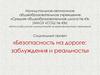 Социальный проект «Безопасность на дороге: заблуждения и реальность»