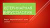 Ветеринарная вирусология. Вирус европейской чумы свиней