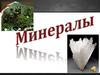 Минералы и их свойства