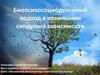 Биопсихосоциодуховный подход в понимании синдрома зависимости