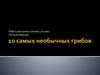 10 самых необычных грибов