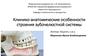 Клинико-анатомические особенности строения зубочелюстной системы