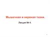 Мышечная и нервная ткани. Лекция № 4