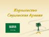 Королевство Саудовская Аравия