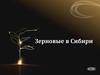 Зерновые в Сибири