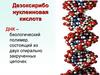 Дезоксирибо нуклеиновая кислота (ДНК)