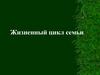 Жизненный цикл семьи