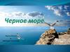Черное море