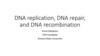 DNA replication, DNA repair, and DNA recombination