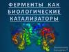 Ферменты как биологические катализаторы
