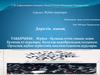 Жүйке - бұлшық еттік синапс және бұлшық ет аурулары. Орталық жүйке жүйесінің миелинсізденген аурулары