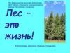 Лес - это жизнь