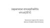 Japanese encephalitis virus (JEV)