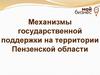 Механизмы государственной поддержки на территории Пензенской области