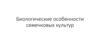 Биологические особенности семечковых культур