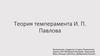 Теория темперамента И П Павлова