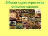 Общая характеристика млекопитающих