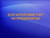 Бухгалтерский учет на предприятии. Система двойной записи