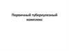 Первичный туберкулезный комплекс