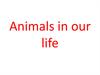Animals in our life