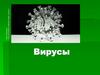 Вирусы. Ротавирус