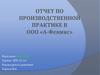 Отчет по производственной практике в ООО «А-Феникс»