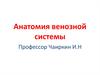 Анатомия венозной системы