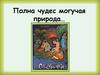 Полна чудес могучая природа… Н.А .Римский-Корсаков опера «Снегурочка»