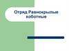 Отряд Равнокрылые хоботные