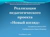 Реализация педагогического проекта «Новый взгляд»