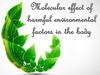 Harmful environmental factors