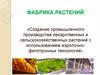 Создание производства лекарственных и сельскохозяйственных растений с использованием аэропоннофитотронных технологий