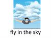 Fly in the sky