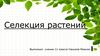 Селекция растений