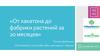 От хакатона до фабрики растений за 20 месяцев