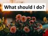 What should I do
