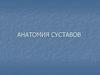Анатомия суставов