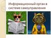 Информационный орган в системе самоуправления