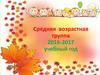 Средняя возрастная группа детского сада, 2016-2017 учебный год