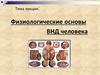 Физиологические основы ВНД человека