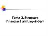 Structura financiară a întreprinderii