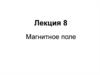 Магнитное поле. Основные уравнения магнитостатики в вакууме. (Лекция 8)
